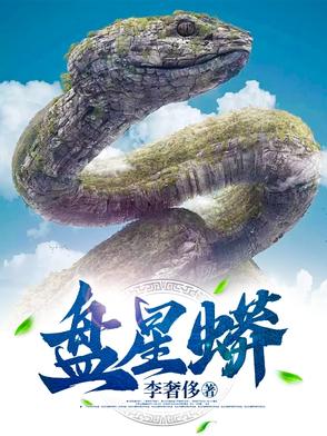 盘星月菩提有的透有的不透